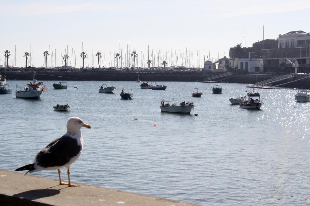 Charming Cascais Apt. Rum bild